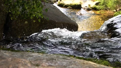 Water flowing from a waterfall through forest nature in the Czech Republic. Video stock 146374348