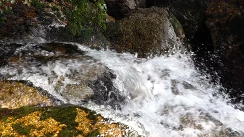 Water flowing from a waterfall through forest nature in the Czech Republic. Video stock 146374500