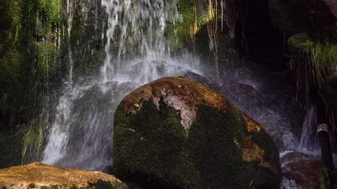 Water flowing from a waterfall through forest nature in the Czech Republic. Video stock 146382964