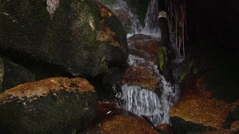 Water flowing from a waterfall through forest nature in the Czech Republic. Video stock 146383314