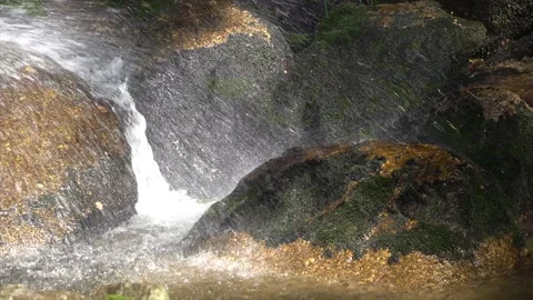 Water flowing from a waterfall through forest nature in the Czech Republic. Video stock 146384928
