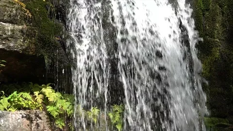 Water flowing from a waterfall through forest nature in the Czech Republic. Video stock 146385325
