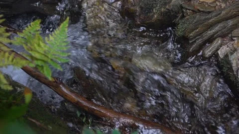 Water flowing from a waterfall through forest nature in the Czech Republic. Stock Footage 146386959