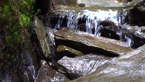 Water flowing from a waterfall through forest nature in the Czech Republic. Video stock 146387093