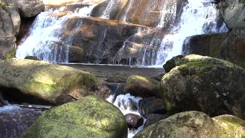 Water flowing from a waterfall through forest nature in the Czech Republic. Video stock 146389972