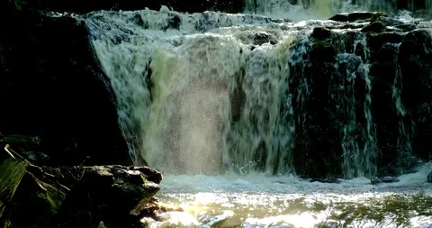 Water flows After heavy rain on a mountain that is a forest. Stock Footage 126008138
