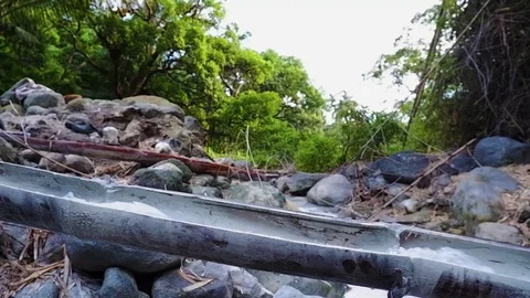 Water flows along bamboo. Somewhere in the forest. Video stock 122881452