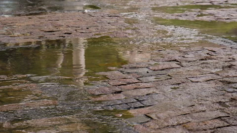 Water flows along the road breakthrough. Selective focus. Stock Footage 224066268
