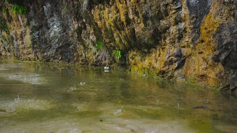 Water flows and drops from the green mountain with moss Stock Footage 126955359