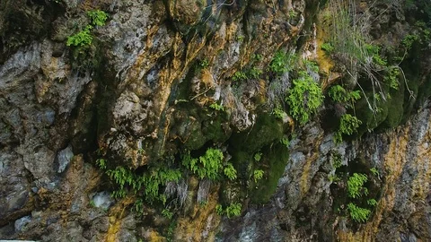 Water flows and drops from the green mountain Stock Footage 126955367