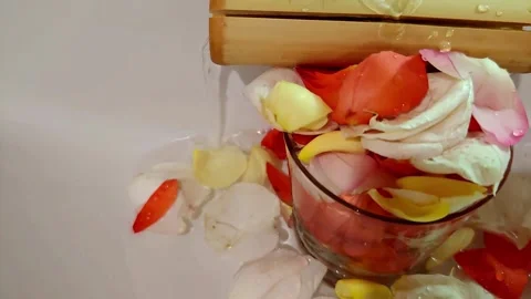 Water flows and flowers float Stock-Footage 318851163