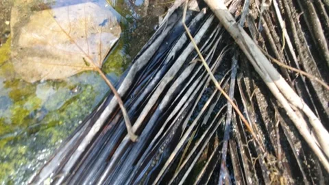 Water flows and there are rocks to pass Stock Footage 304094065