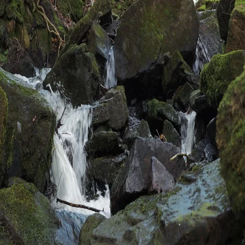 Water flows around moss covered rocks in Welsh countryside UK. Stock Footage 69521361