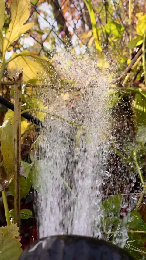 The water flows beautifully from the hose, surrounded by bright vegetation Stock-Footage 319953068