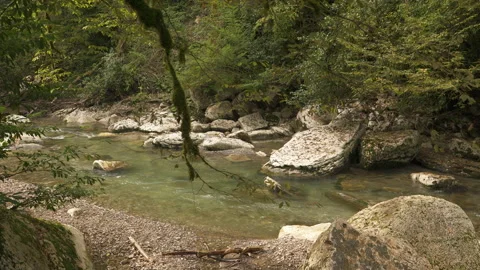 Water flows between big white stones in national park White Rocks Canyon Stock Footage 220293815