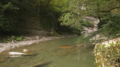 Water flows between big white stones in national park White Rocks Canyon Stock Footage 220497214