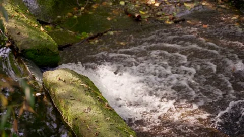 Water flows between concrete blocks. Video stock 142250591