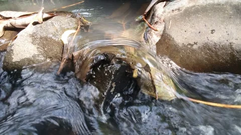 Water flows between river rocks Stock Footage 304256901
