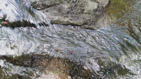 Water flows between river rocks Stock Footage 304258408