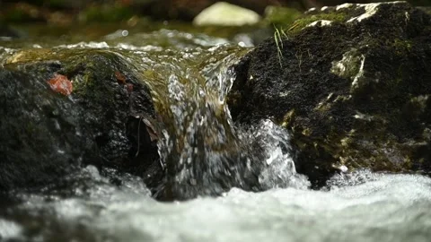 Water flows between stones from a mountain stream in autumn, slow motion Video stock 288149523