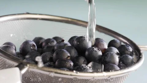 Water flows on blueberry Stock Footage 84975712