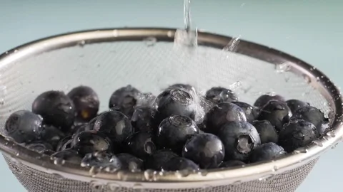 Water flows on blueberry Stock Footage 84975741