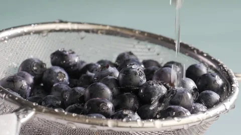 Water flows on blueberry Stock Footage 84975893