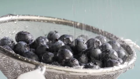 Water flows on blueberry Stock Footage 84976080