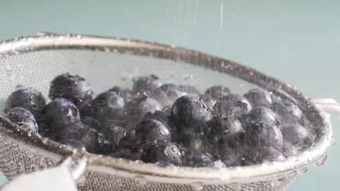 Water flows on blueberry Stock Footage 84976225