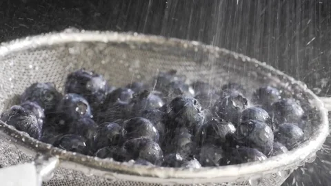 Water flows on blueberry Stock Footage 84976685
