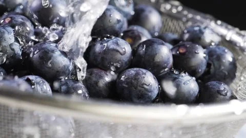 Water flows on blueberry Stock Footage 84976816