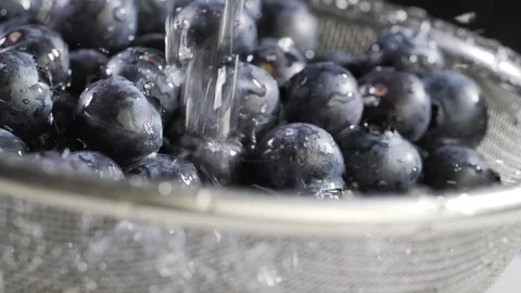 Water flows on blueberry Stock Footage 84976848