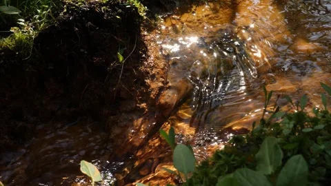 Water flows in the bog in Siberia Stock Footage 282917176