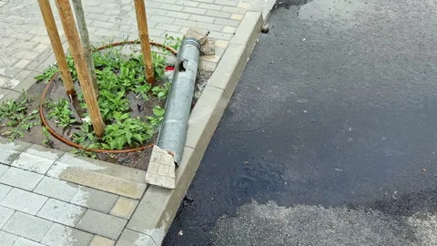 Water flows from a broken pipe near a tree in an urban area during the afternoon Stock Footage 337911513