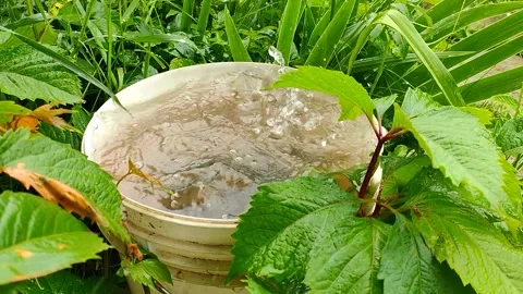 The water flows into the bucket 2 Stock Footage 157717449