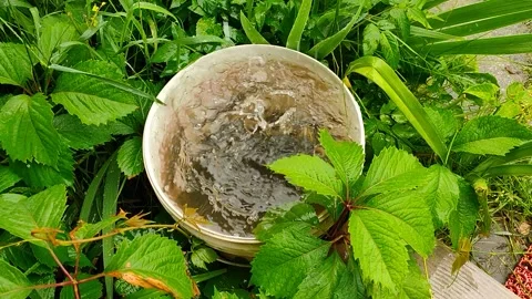 The water flows into the bucket Stock Footage 157717450