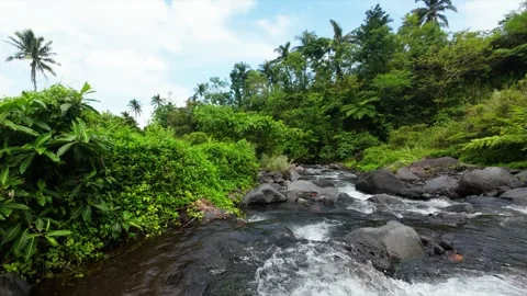Water flows calmly over smooth, dark rocks. Ideal for nature documentaries. Vídeos de archivo 334628343
