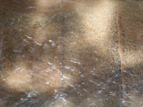 Water flows in the concrete river. Stock Footage 88029421