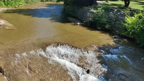 Water flows in Creek Stock Footage 234704725