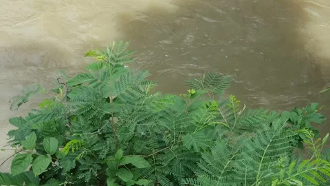 Water flows down the channel Stock Footage 301929108