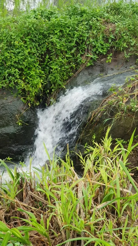 Water flows down the channel Stock Footage 301930748