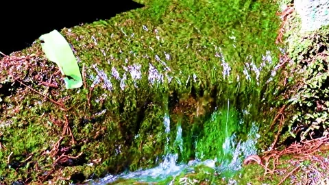 Water flows down the drain Stock-Footage 302781806