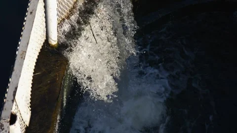 Water flows down the drainage system in the river dam. Video stock 299710818