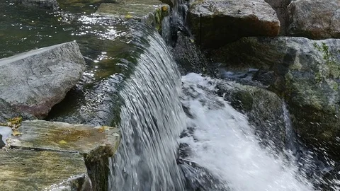 Water flows down from the falls to stones Video stock 80531552