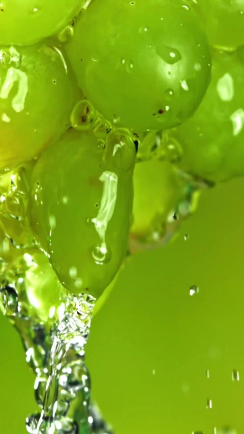 Water flows down from green grapes. Filmed on a high-speed camera at 1000 fps Stock Footage 335380892