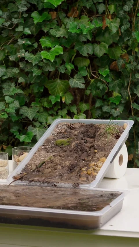 Water flows down a muddy slope into a tray Video stock 331770267