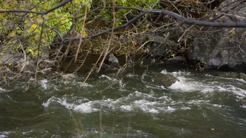 Water flows down the Provo River Video stock 93482627