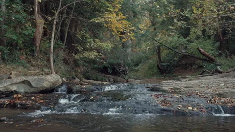 Water flows down river at Asheville Botanical Gardens in North Carolina Stock Footage 190744273