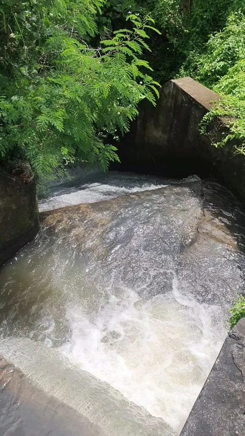 Water flows down into the river Stock Footage 331272513