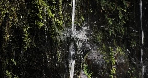 Water flows down rocks and plants in Maui, Hawaii along the Road to Hana Stock Footage 112756663